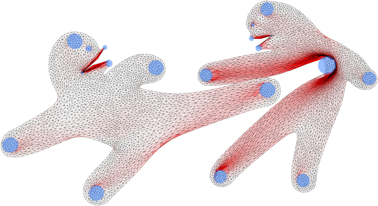 Locally_Injective_Mappings